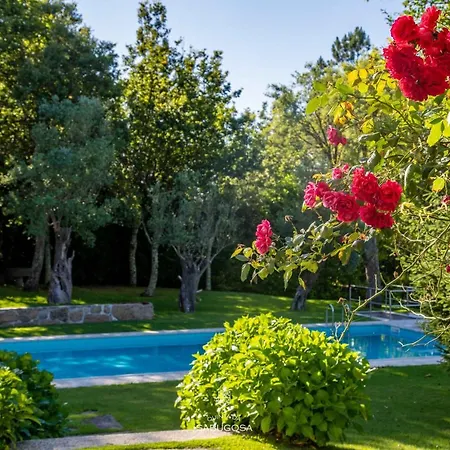 Quinta Sabugosa - Quinta V4 Localizada Na Encosta Do Bom Jesus - Villa